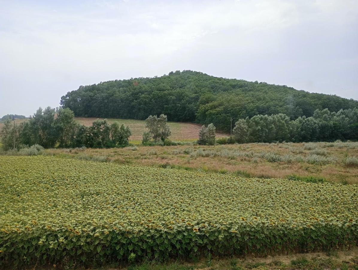 CoianoLa Casa Rossa住宿加早餐旅馆 外观 照片
